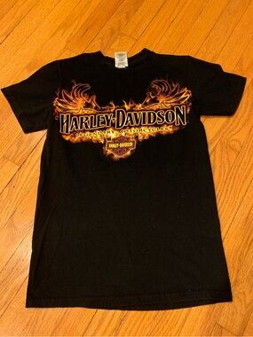 Vintage Y2K Harley-Davidson Champion Roswell NM Alien Motorcycle Flames Shirt